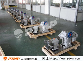 转子输送泵价格 上海转子输送泵报价合理 帕特供