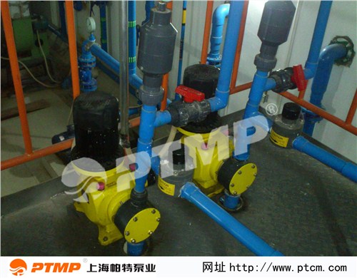 上海大流量计量泵 无泄漏计量泵厂家 帕特供应