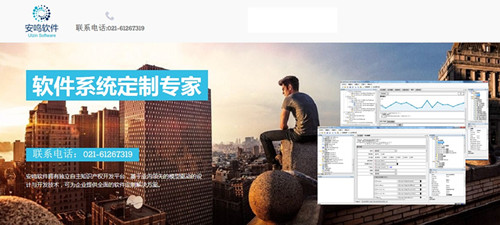 上海企业信息化软件定制公司 企业信息化软件定制地址 安鸣供
