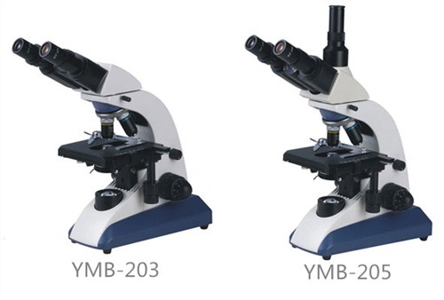 YMB203/205实验室透射生物显微镜