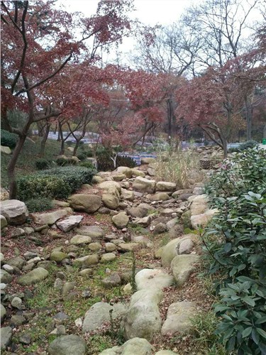 青岛庭院景观石定做 青岛庭院景观石报价 石苑景观供