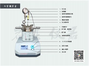 50ml实验室反应釜 50ml实验室反应釜批发价 岩征供